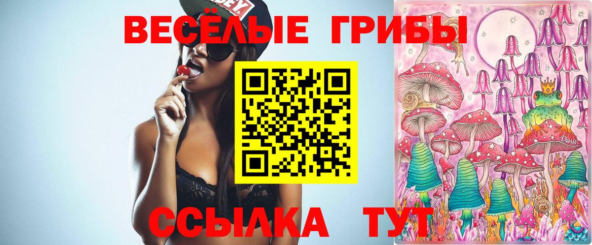Псилоцибиновые грибы Cubensis Пенза