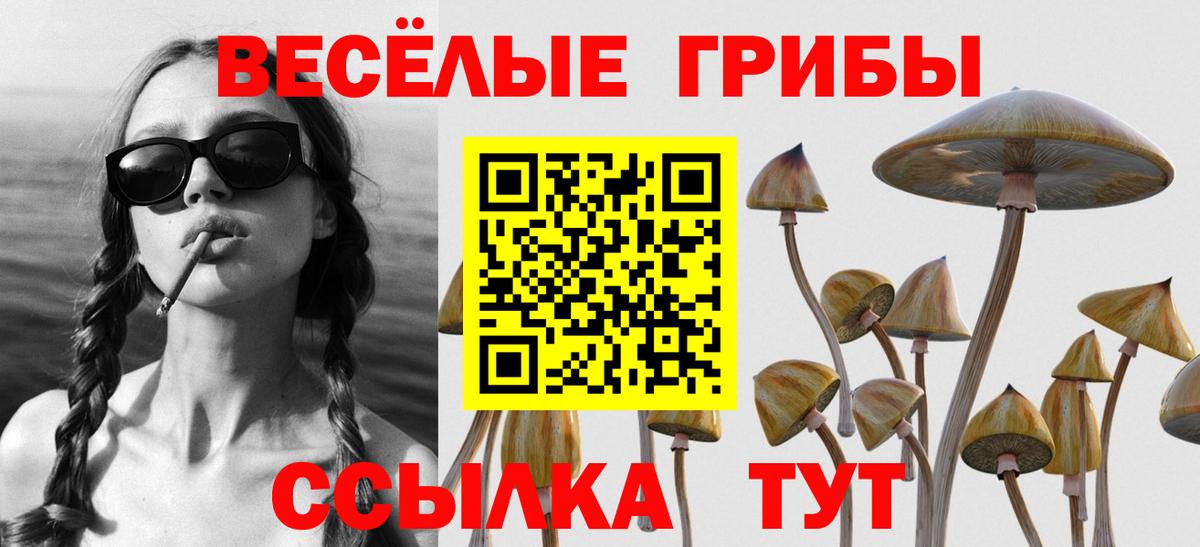 Пенза  Псилоцибиновые грибы Cubensis  Псилоцибиновые грибы Magic Shrooms  Вход с VPN 